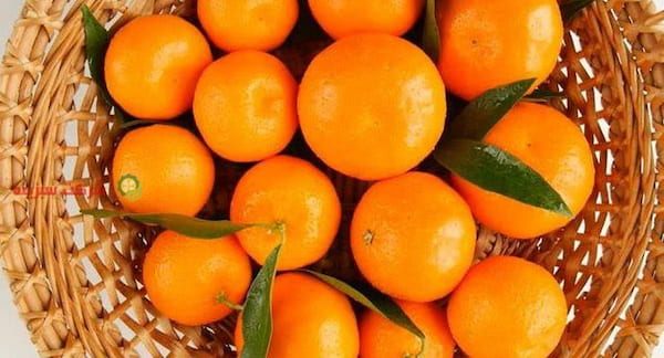 تصویر 2 از قیمت روز نارنگی قائمشهر اعلا